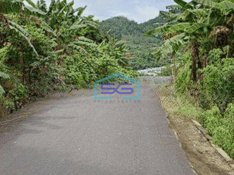 Dijual Tanah Luas 10~20 Ha Di Pandu Cocok Buat Real Estate Kantor Gudang Manado