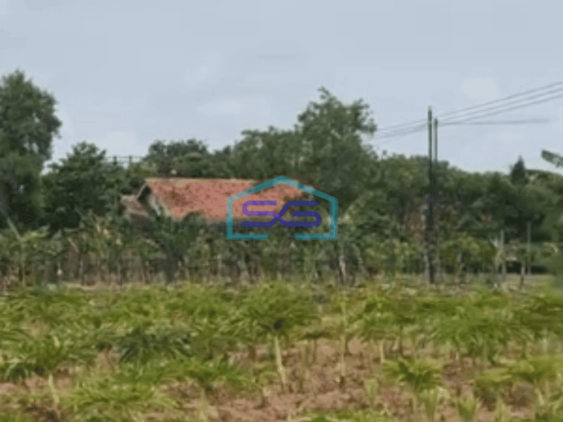 Dijual Tanah di Kertajati Jawa Barat Luas Tanah 30000 m²