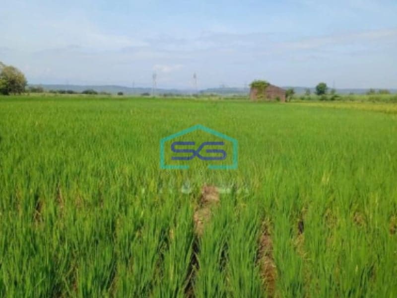 Dijual Tanah Luas 4454m2 SHM Nol Jalan di Karangwareng Cirebon