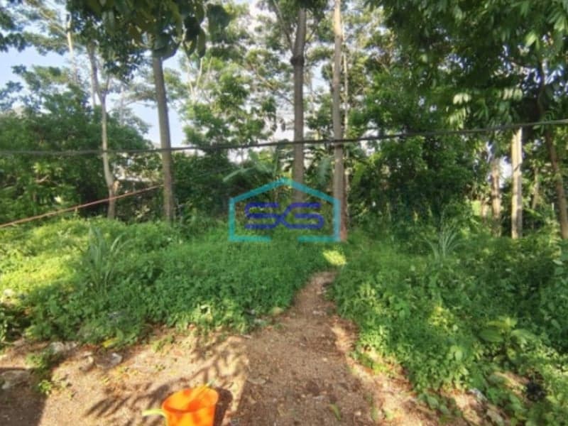 Dijual Murah Tanah Di Mainroad Abdullah Bin Nuh Cianjur Jawa Barat LT 1072m2