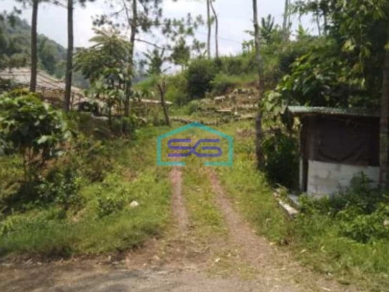 Dijual Tanah Strategis di Maribaya Lembang Luas Tanah  100000 m²