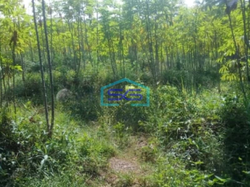 Dijual Tanah Murah Daerah Jatihandap Bawah Dan Jatihandp Utama Bandung Luas Tanah  3200 m²