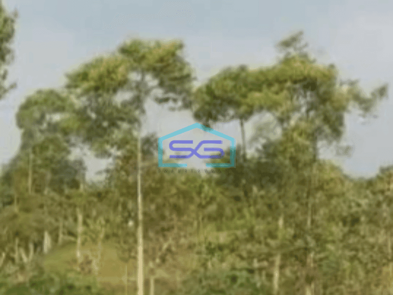 Dijual Tanah Komersial di Cibiru Bandung Luas 10000m²