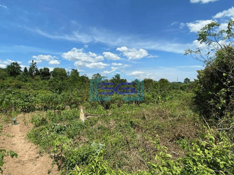 Dijual Tanah Kosong Cocok Untuk Gudang di Serang Banten