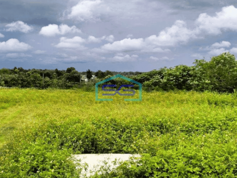 Dijual Tanah Luas 170000 m² Lokasi Strategis di Tigaraksa Tangerang