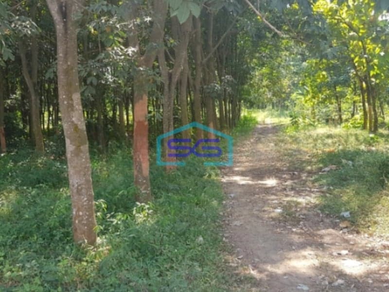 Dijual Murah Tanah Siap Bangun Zona Industri Jalan Sudah Cor DIi Batang Jawa Tengah LT 28270m2