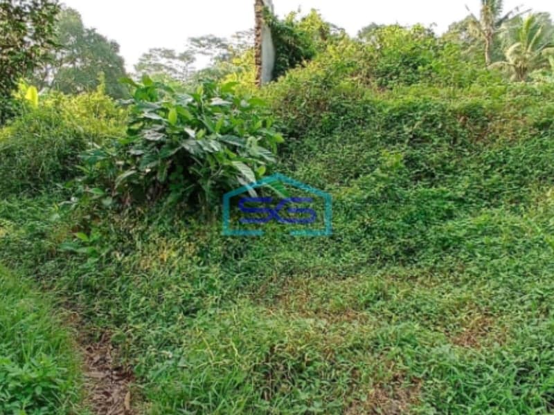 Dijual Tanah Di Batang Deket Kitb Luas Tanah 6980m2