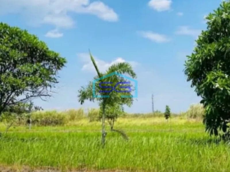 Dijual Cepat Tanah Kavling Industri Surya Cipta Karawang Timur Luas Tanah 35000m2