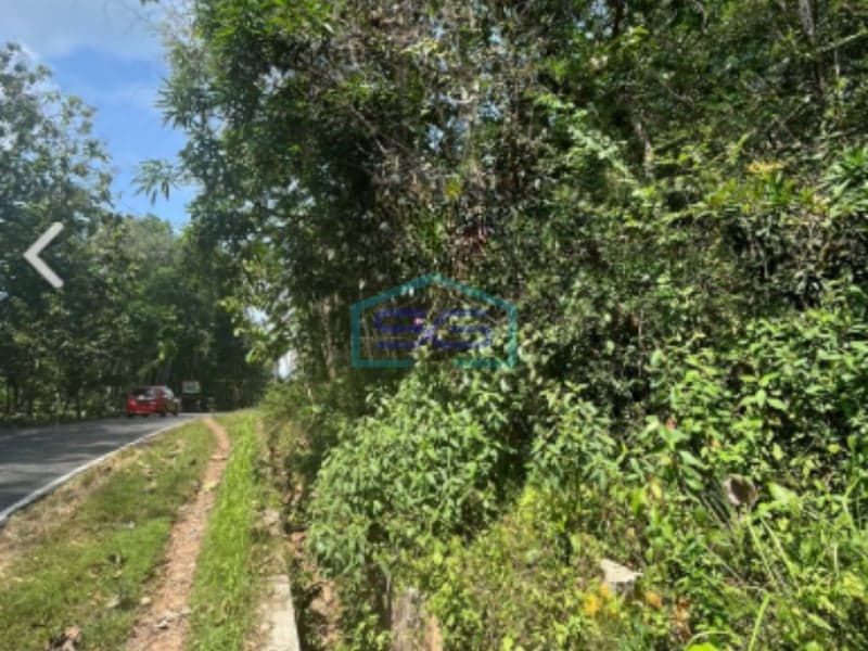 Dijual Tanah di Nglanggeran, Patuk, Gunung Kidul Yogyakarta LT 1969m2