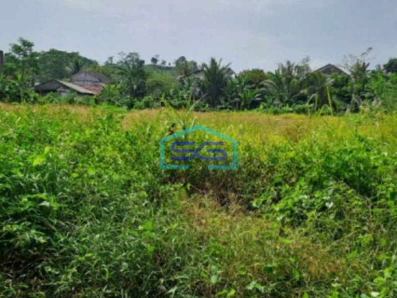 Dijual Tanah Strategis di Batu Jajar Ci Gudeg Bogor Luas Tanah 46000m2