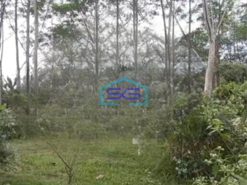 Dijual Tanah Luas 11000 m² Lokasi Kedungkandang Malang