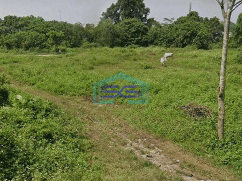 Dijual Cepat Lahan Luas Untuk Gudang di Curug Tangerang