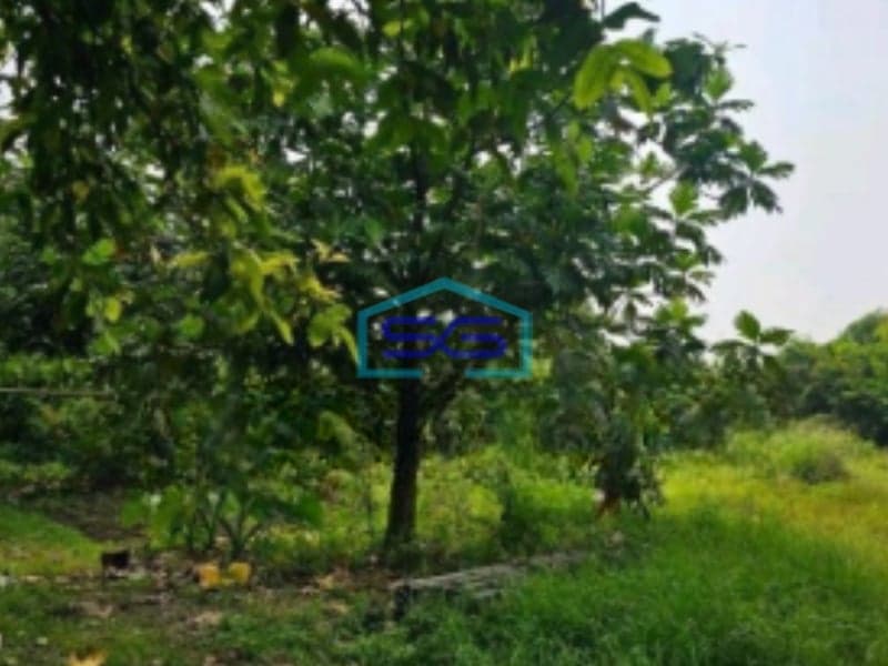 Disewakan Tanah Kavling Luas Di Cipondoh Tangerang Banten LT 7200m2