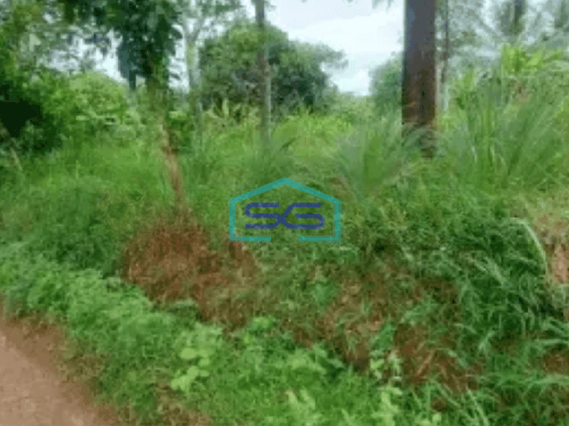 Dijual Tanah Darat Dekat Dengan Lahan Pengembang Agung Podomoro Group di Tenjo Bogor