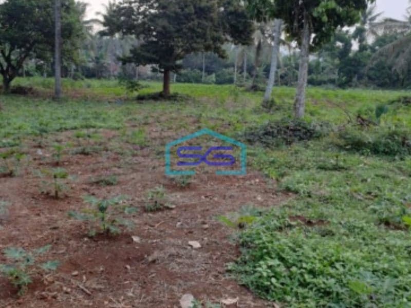 Dijual Tanah Strategis Cibodas Rumpin Bogor Luas Tanah 9000m2