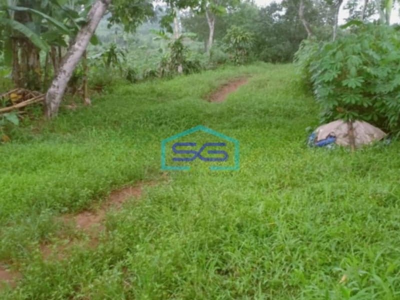 Dijual Tanah di Desa Hambalang Sentul Citreureup Bogor LT 10000m2