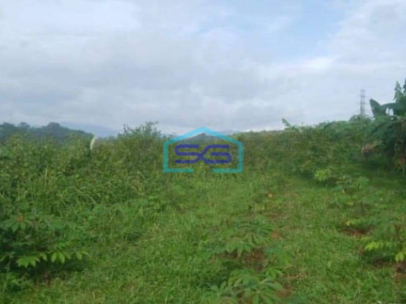 Dijual Tanah di Cibadak Sukabumi Luas Tanah 10 Hektar