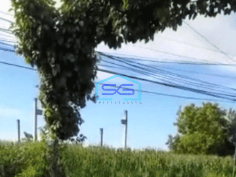 Dijual Tanah Luas 10210 m²  di Lamongan Jawa Timur