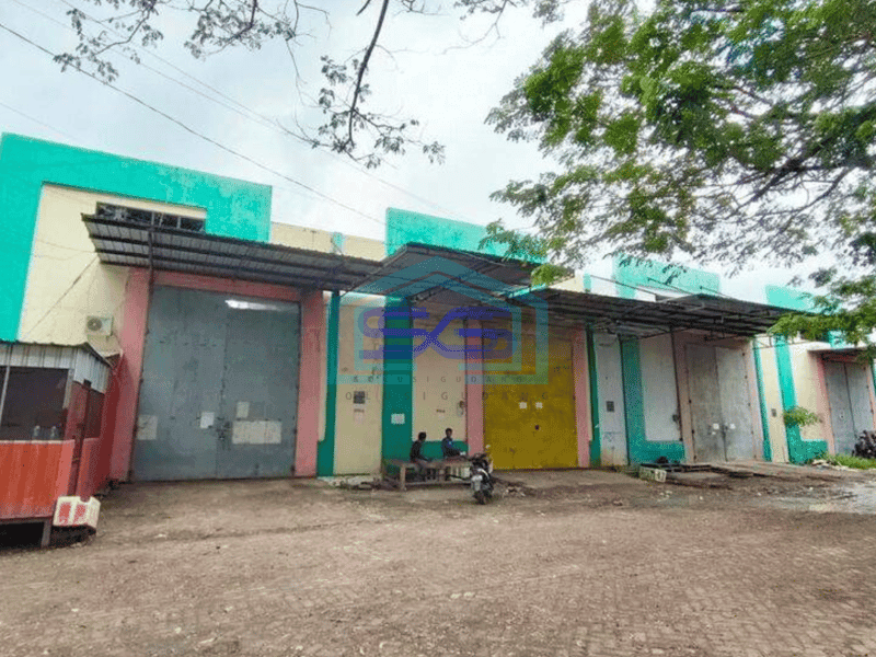 Disewakan Gudang kima murah di kota makassar dekat dari mandara, jalan tol