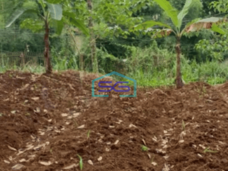 Dijual Kavling keluarga di Banjarsari Bogor, Lingkungan aman dan nyaman Luas Tanah 2023 m²