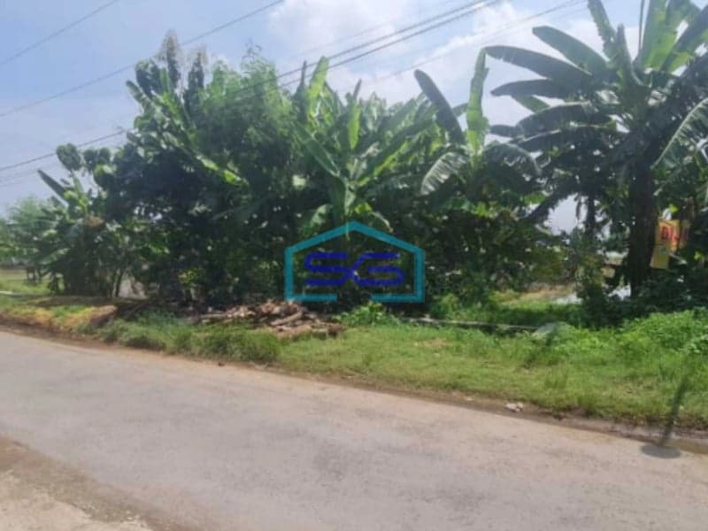 Dijual Tanah Siap Bangun Lokasi Di Kadilangu Dekat Solo Baru Luas 8640m2