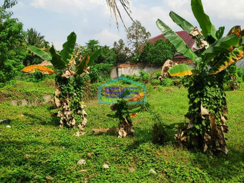 Dijual Cepat! Tanah 5019m² di Lokasi Premium Jalan Pusri Sukamaju! Kota Palembang