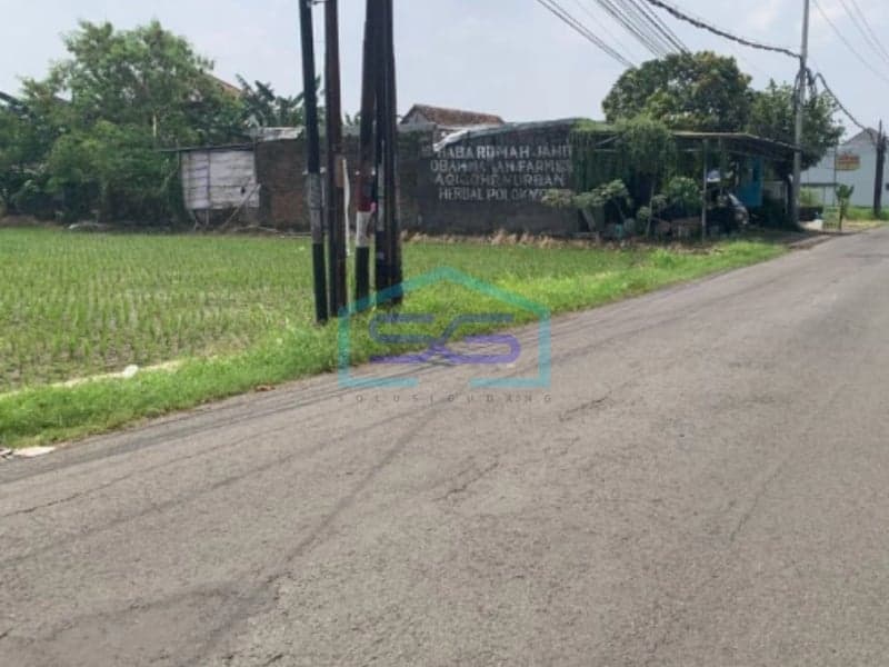 卡兰加尼亚尔Colomadu战略性稻田土地出租，爪哇中部，面积2000平方米