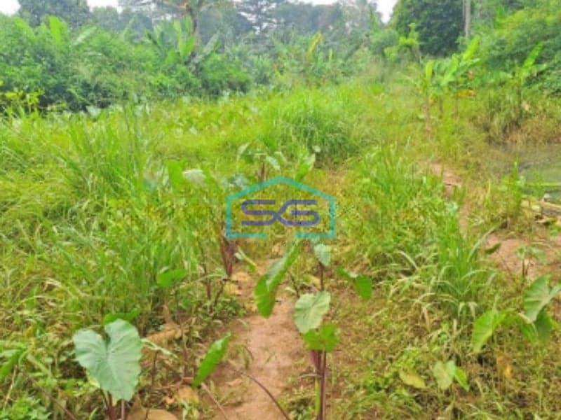 Dijual Tanah di Daerah Kemang Bogor Luas Tanah 3000m2