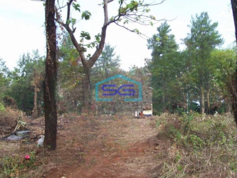 Dijual Tanah Murah Luas 24337 m² Lokasi Strategis di Subang Kota Jawa Barat