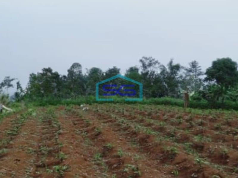 Dijual Tanah Desa Mangunjaya Ciambar Sukabumi Luas Tanah 300000m2