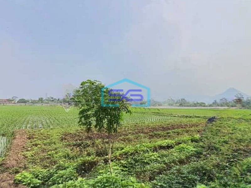 Dijual Murah Tanah 3 Menit Ke Pintu Tol Margaasih Bandung LT 70000m2