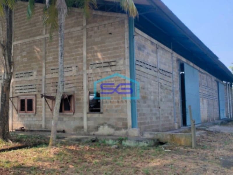 Disewakan Gudang Murah Lokasi di Curug Panongan Tangerang LB 2500m2