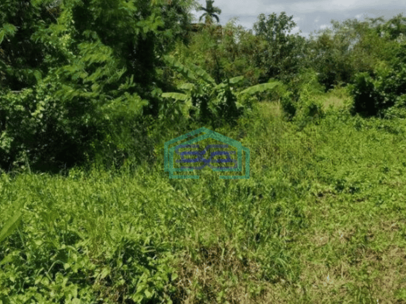 Dijual Tanah Luas  2525 m² Lokasi Strategis di Canggu Badung Bali