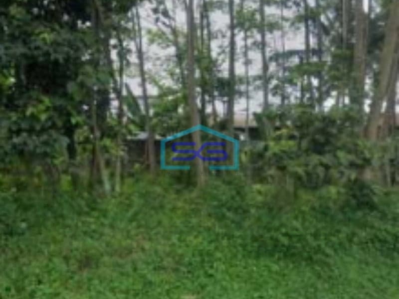 Dijual Tanah Di Cianjur Luas Tanah  86000 m²