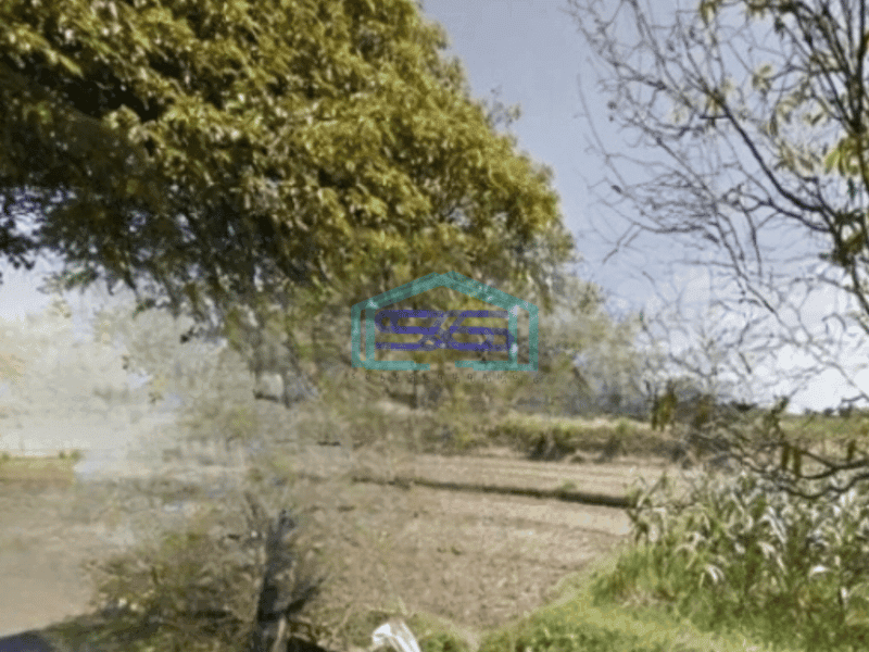 Djual Tanah Luas 19865 m²   di Pinggir Jalan Raya Ubud Gianyar