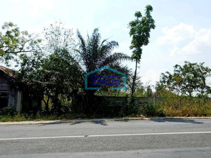 Dijual Murah Tanah Jl Raya Mantup Lamongan Cocok Untuk Pabrik Gudang Strategis LT 8000m2