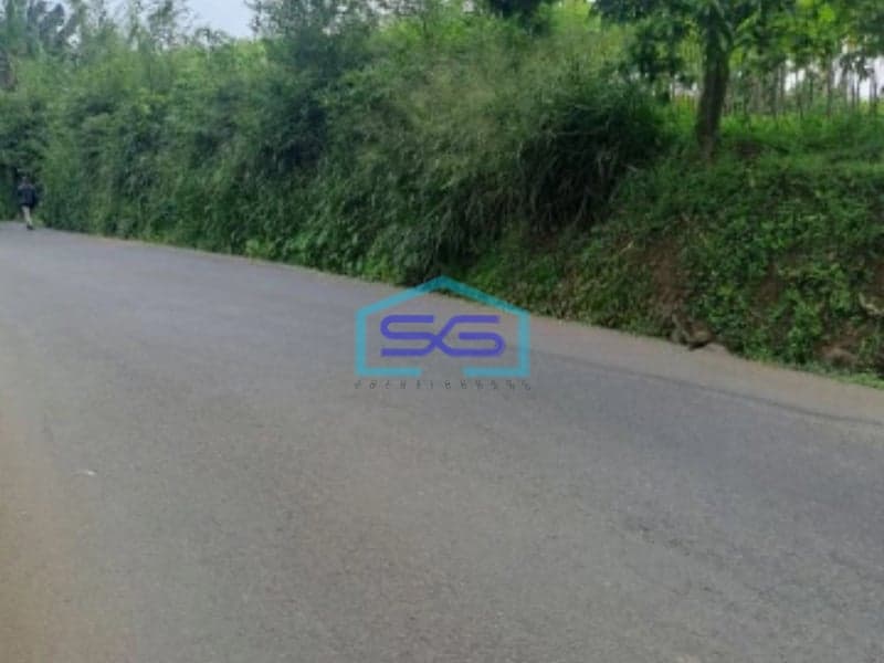 Dijual Tanah Lokasi di Pamijahan Bogor Luas Tanah 77000m2