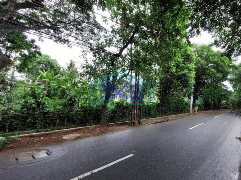 Dijual Kavling Bisa Untuk Gudang Jagakarsa Jakarta Selatan