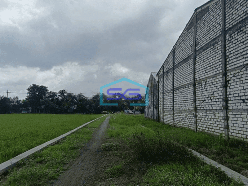 Dijual Gudang Murah Meriah Nol Jl Raya Cerme Benjeng Gresik Dekat Surabaya LT 1624m2