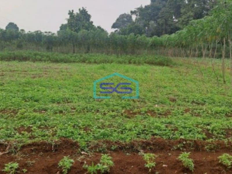 Di Tanah di Daerah Cibeuteung Udik Ciseeng Bogor Luas Tanah 15000m2