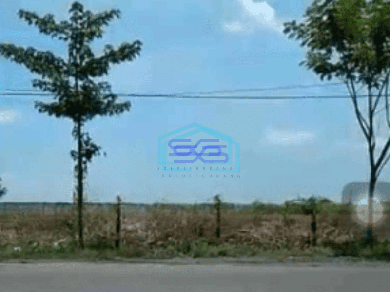 Dijual Tanah Industri Nol Jalan Raya Tuban Kecamatan Widang Luas Tanah 40000 m²