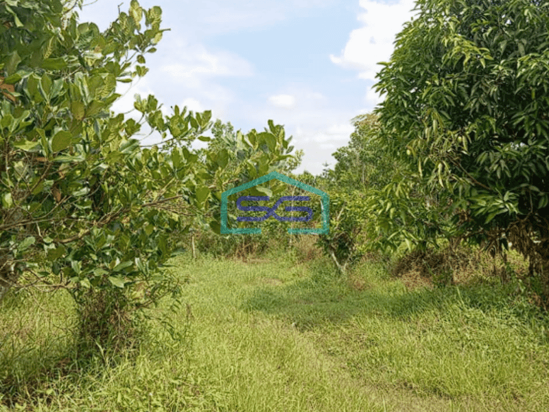 Dijual Tanah Siap Bangun di Talang Keramat Palembang Luas 2500m2