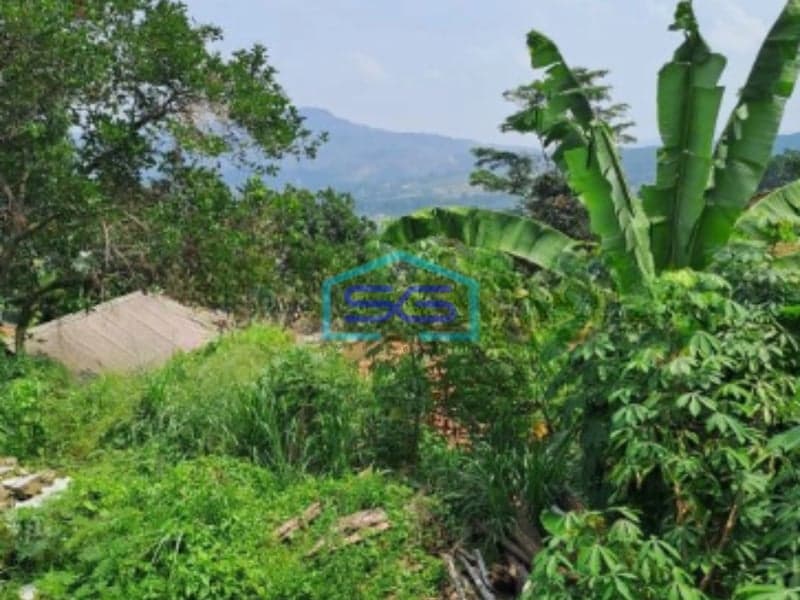 Dijual Tanah di Jalan Bukit Angsana Hijau Sentul Bojongkoneng Bogor