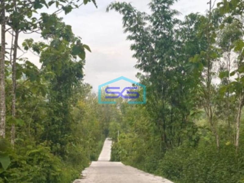 Dijual Tanah di Gunung Kidul Wonosari Kec Ngawen Gunung Kidul Yogyakarta LT 4881m2