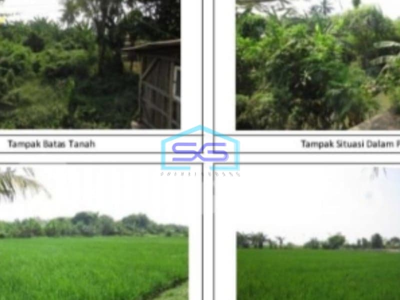 Dijual Tanah di Jalan Raya Cikarang Timur Bekasi SHM LT 44180m²