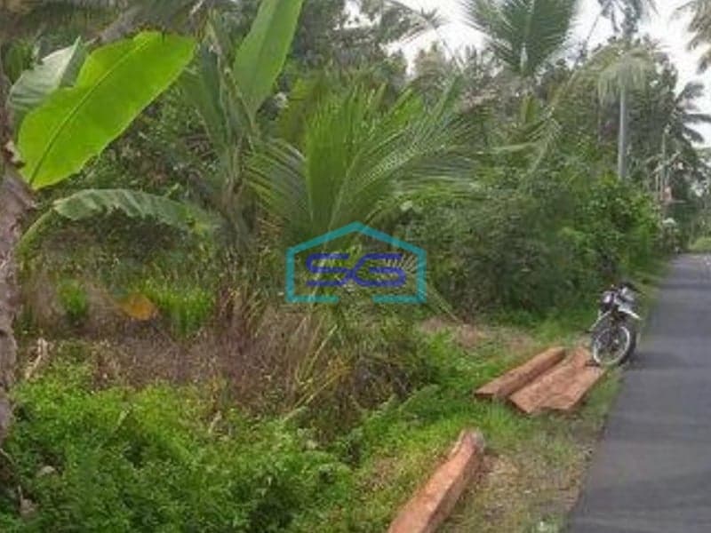 Dijual Tanah Tabanan Bali Sangat Murah Luas 2300m2 Pinggir Jalan