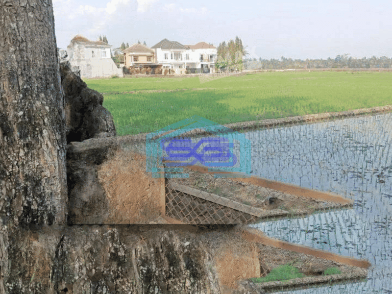 Dijual Tanah di Kepanjen Malang cocok untuk Gudang