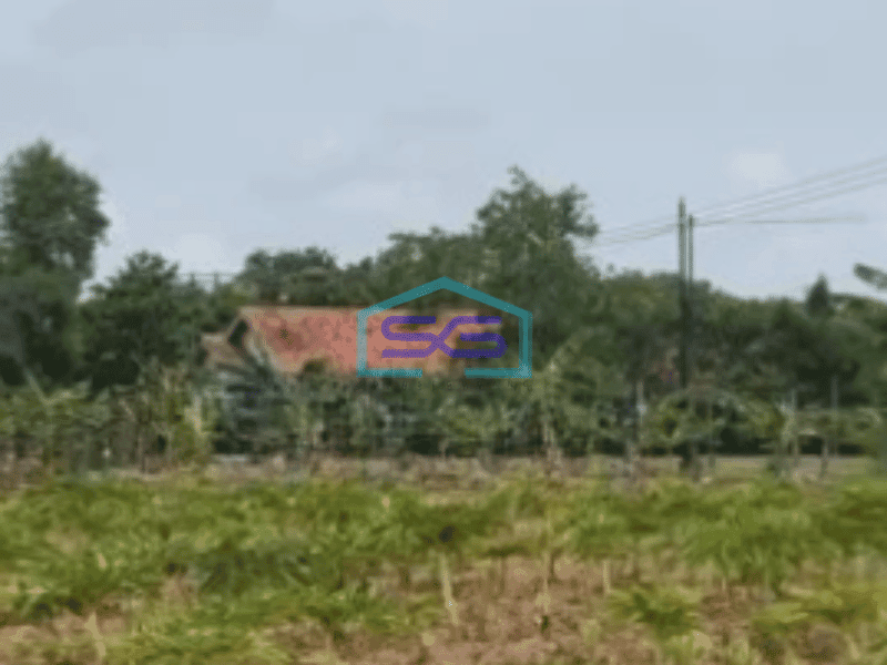 Dijual Tanah Kawasan Kertajati Jawa Barat Luas 30000m²