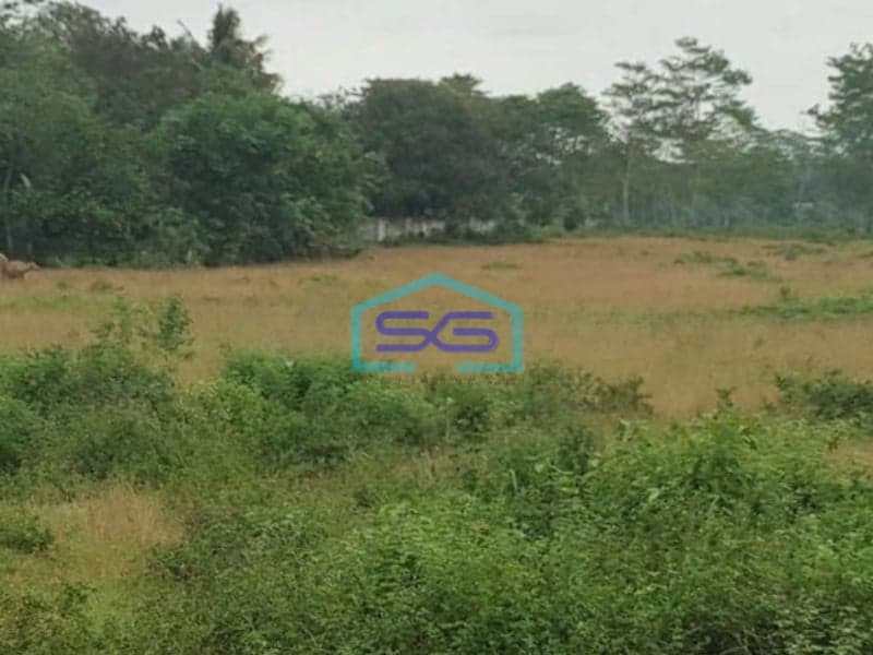 Dijual Tanah di Maloko Dangdang Cisauk Tangerang LT 10000m2