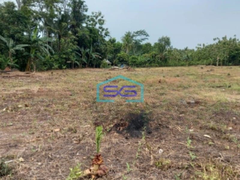 Dijual Tanah Luas 40000 m²  Lokasi di Kalianda Lampung